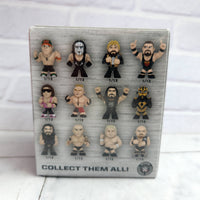 
              WWE Mystery Minis Vinyl Figures Funko - 1 Blind Box New Sealed
            