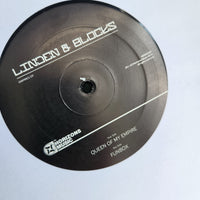 
              Linden + Blocks Empires EP Vinyl Record - Drum and Bass
            