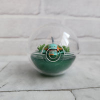 
              Pokemon Terrarium Collection Mudkip
            