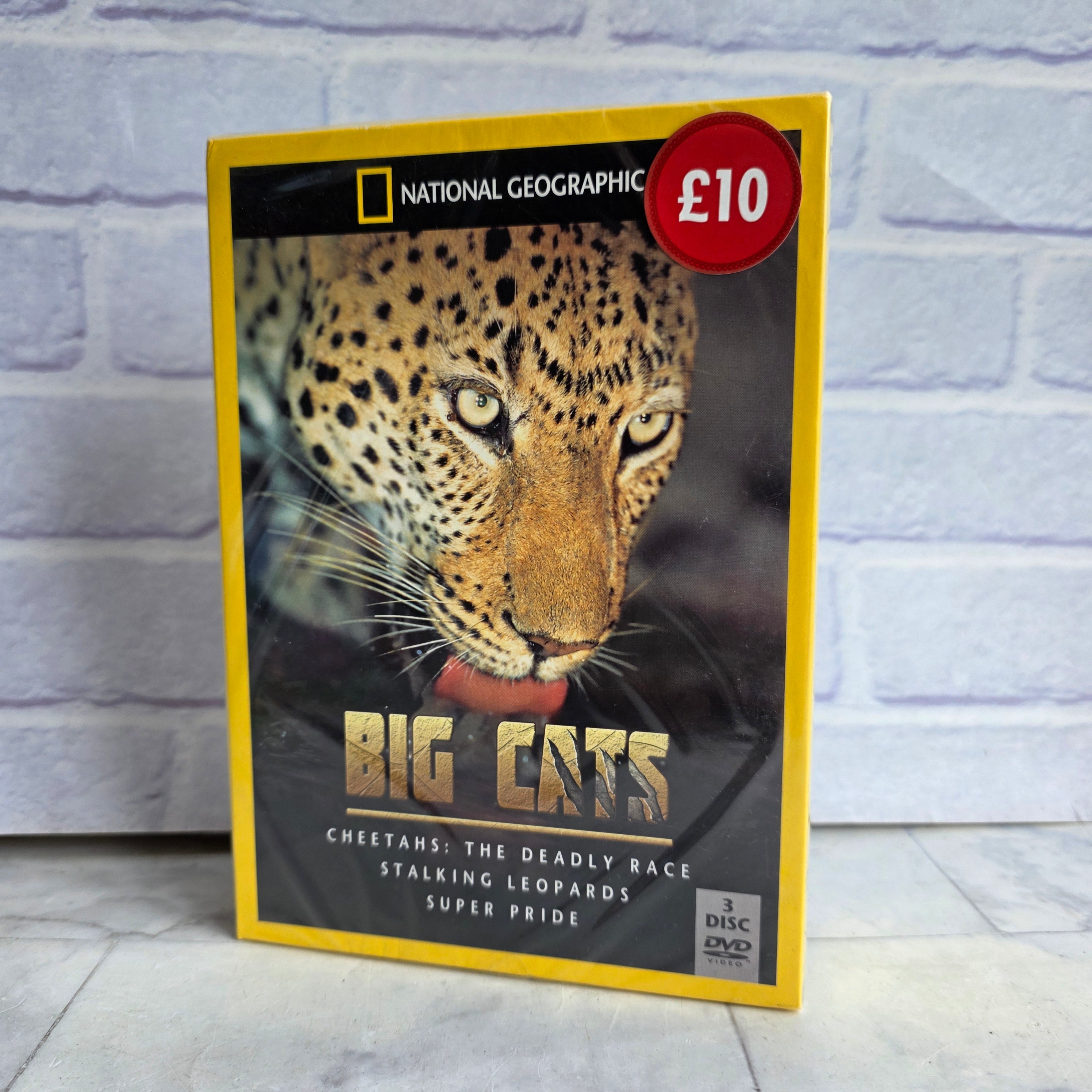 その他 Big Cats Collection [DVD] Big Cats Collection [DVD] [Import](品) 【公式通販】