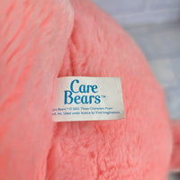 
              Care Bear Pink Bear Plush Cheer Rainbow - 20" Jumbo Vintage 2003 Vivid Imaginat
            