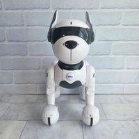 
              Robotic Dog Smart Interactive Top Race TR P5 Teksta Remote Control
            