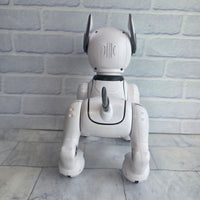 
              Robotic Dog Smart Interactive Top Race TR P5 Teksta Remote Control
            