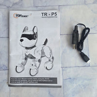 
              Robotic Dog Smart Interactive Top Race TR P5 Teksta Remote Control
            