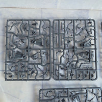 
              Warhammer High Elf Shadow Warriors Unused In Box
            