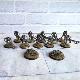 Warhammer 40K Necron Warriors + Scarabs Bundle Assembled Well Painted Based